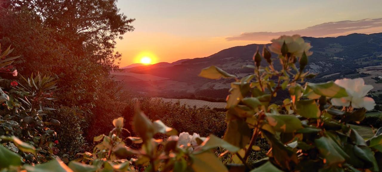 B&B La Terrazza Del Subasio Assisi Eksteriør billede