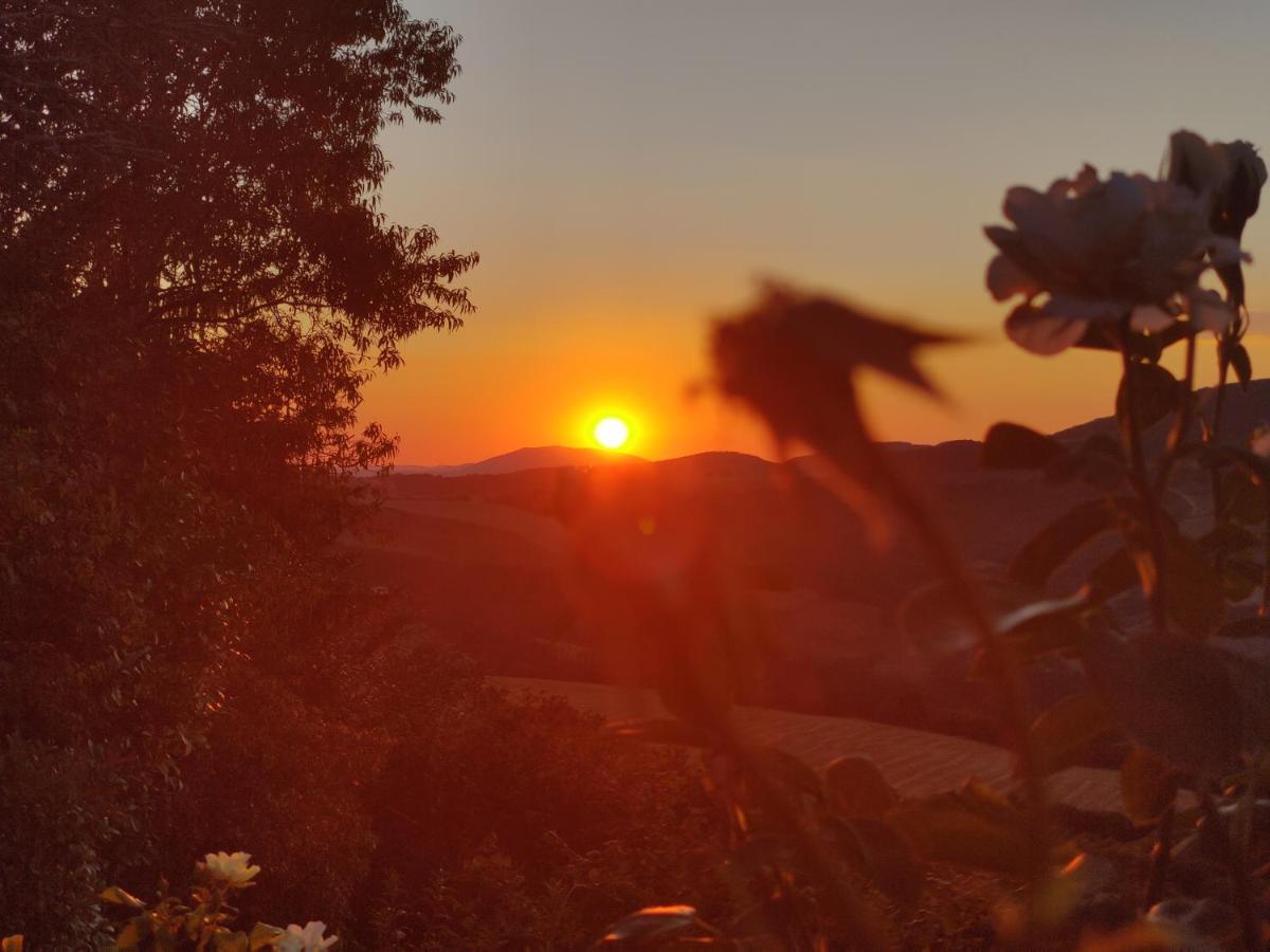 B&B La Terrazza Del Subasio Assisi Eksteriør billede