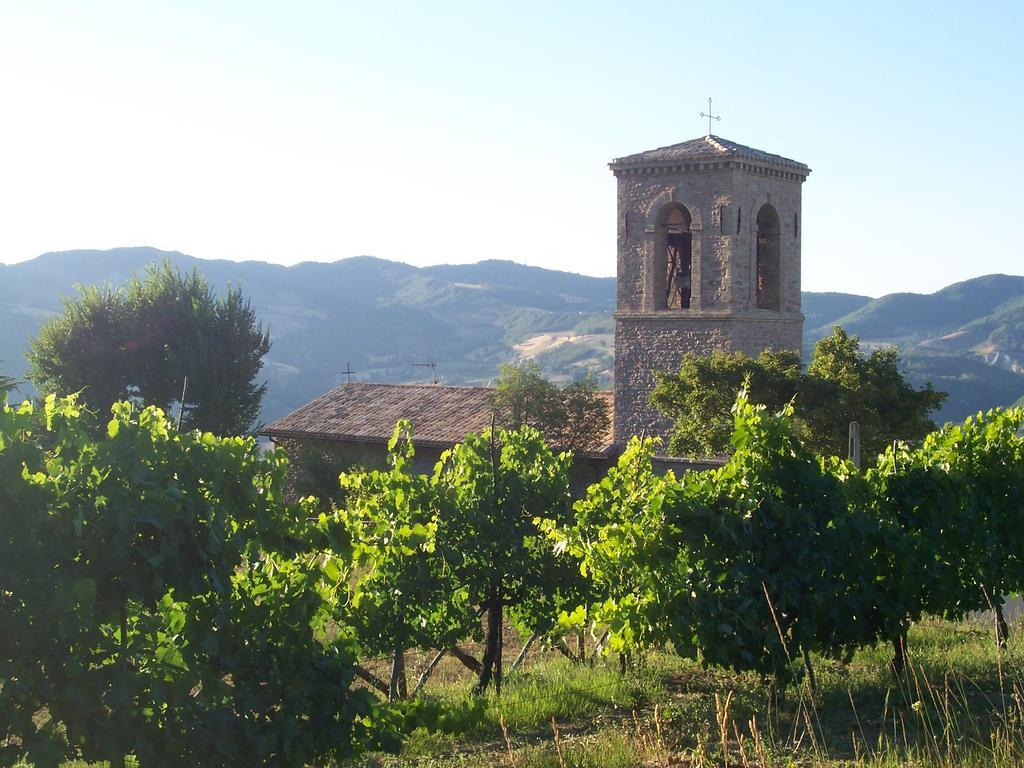B&B La Terrazza Del Subasio Assisi Eksteriør billede