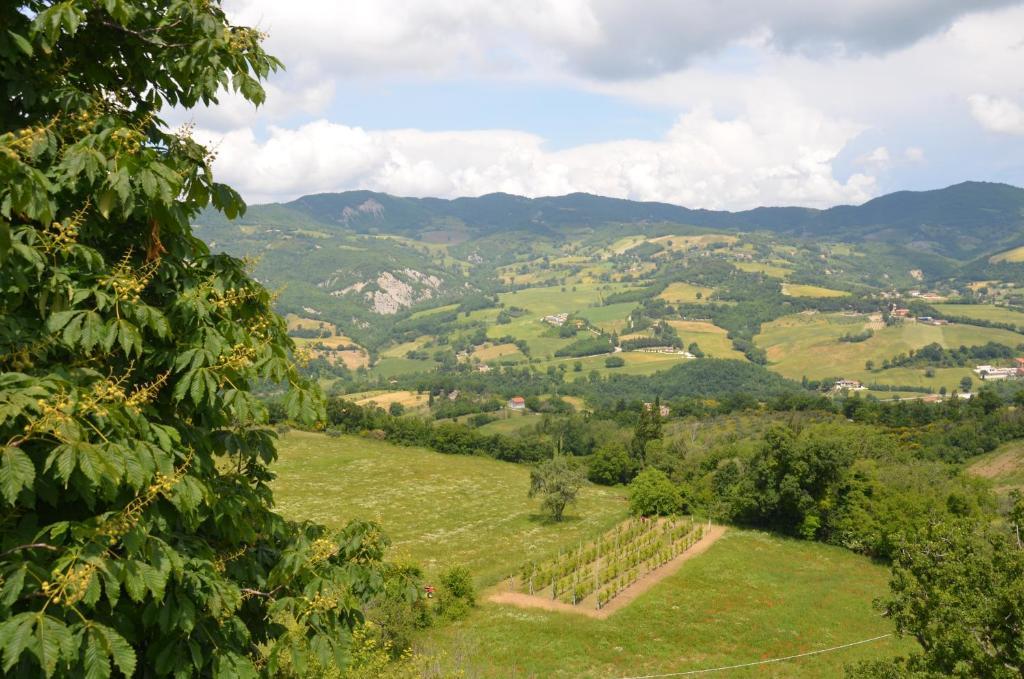 B&B La Terrazza Del Subasio Assisi Eksteriør billede