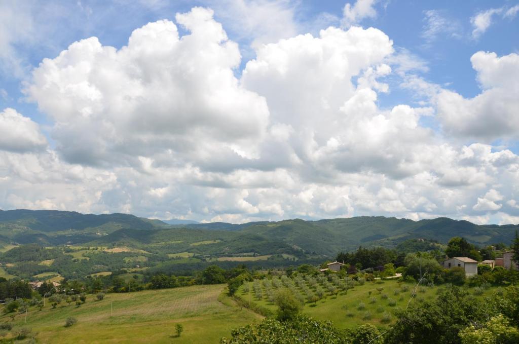 B&B La Terrazza Del Subasio Assisi Eksteriør billede